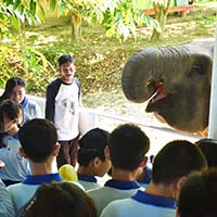 Outdoor Study Kelas VIII Ke Pusat Konservasi Gajah Balai Besar KSDA Riau
